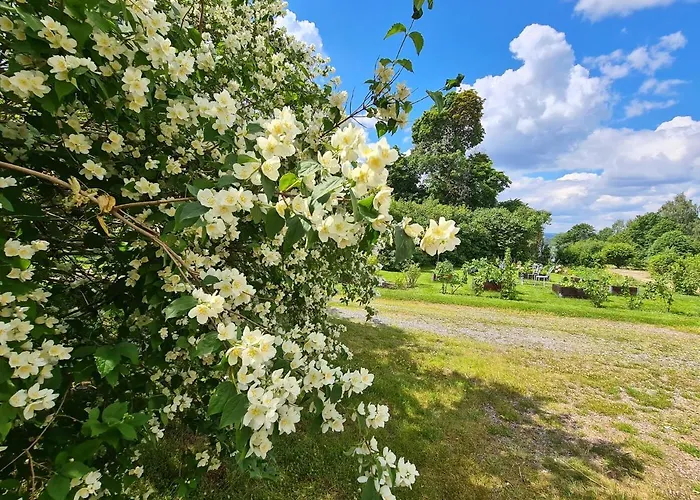 Risberg Herrgard